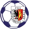 FSV Hirschberg/Saale